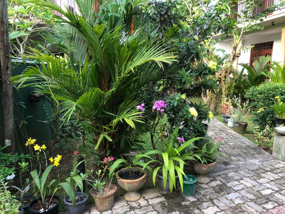 Coral Palm Villa And Apartment Unawatuna Luaran gambar
