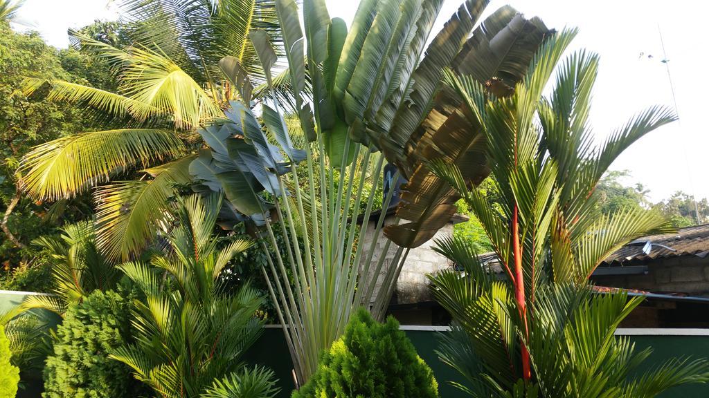 Coral Palm Villa And Apartment Unawatuna Luaran gambar